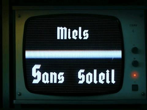 MIELS - Sans soleil (Vidéo officielle)
